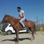 Alper