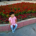 Derya