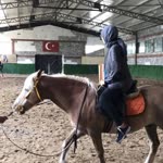 Melike