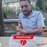 Vedat