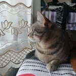 Dilek