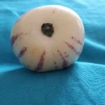 Ümmü