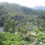 Yavuz