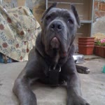 Fatih