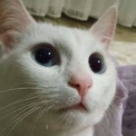 Gülsün