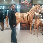Remzi