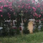 Sağan