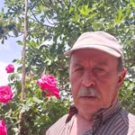 Kadir