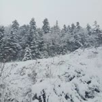 Öznur