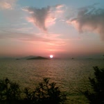 Radife