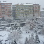 Selim