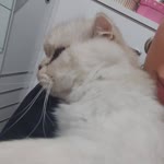 Zeynep