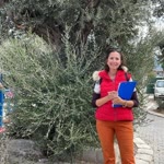 Sinem