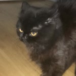 Asya