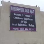 Doğan