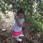Ebru