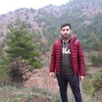 Doğan