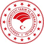 Lokman