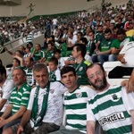 Şahin