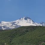 Şeref