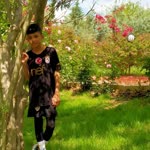 Cem