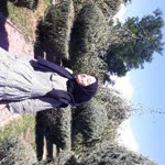 Aysenur