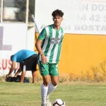 Olcay