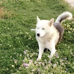 Zeynepp