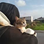 Hatice