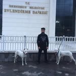Tayfun