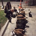 Burcu