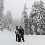 Hikmet