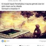 Şahin