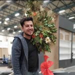 Şahin