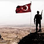 Servet