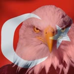 Sait