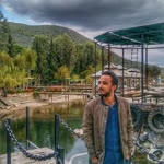 Cihat