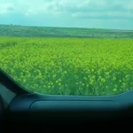 Elif