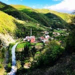 Seyfullah