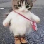 Sezgi