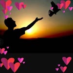 Nur