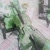 Umut
