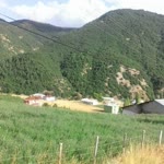 Ayten
