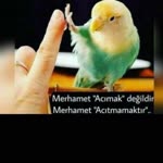 Fatma