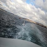 Elif