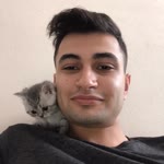 Mücahit