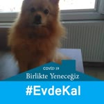 Zafer
