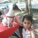 Aylin