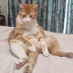Serpil