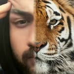 Enes